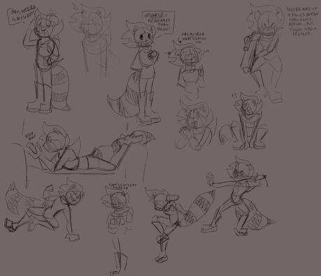Unknown Raccoon Personality Exploration