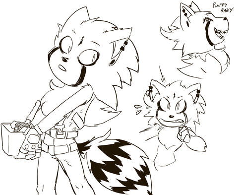 Unknown Raccoon Refined Sketches